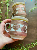 Monstera Cups🌿