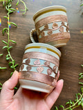 Pothos Cups🍃