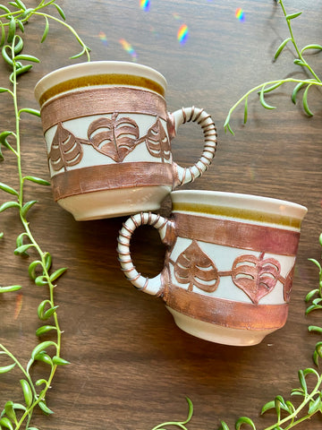 Monstera Cups🌿