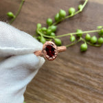 Garnet Simplicity❣️